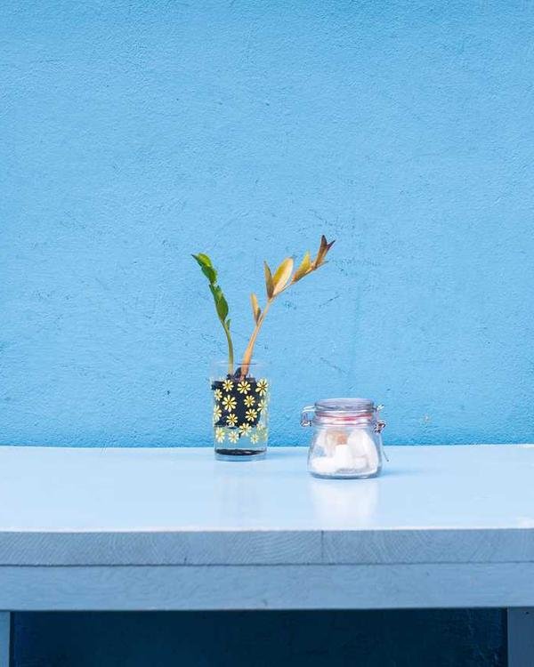 Pilot app UI